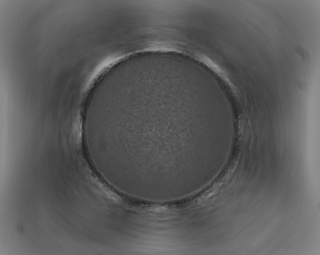 X0000113951408200909251329