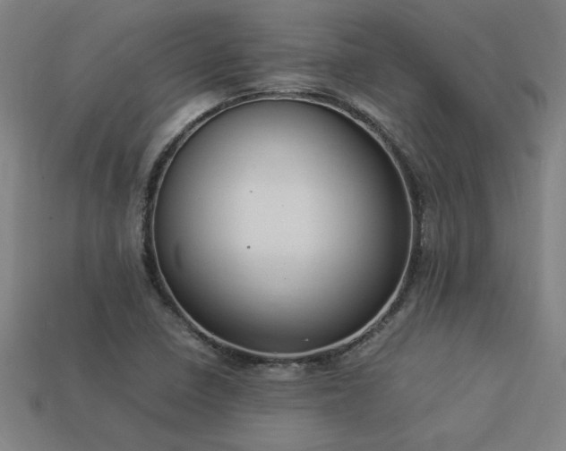 X0000113951410200909251329
