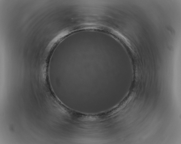 X0000113951411200909251329