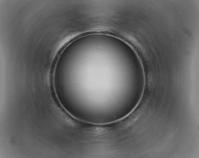 X0000113951412200909251329