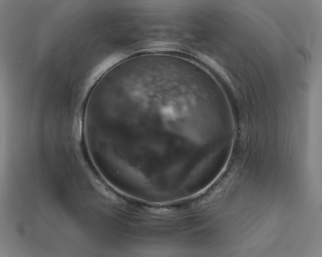 X0000113951413200909251329