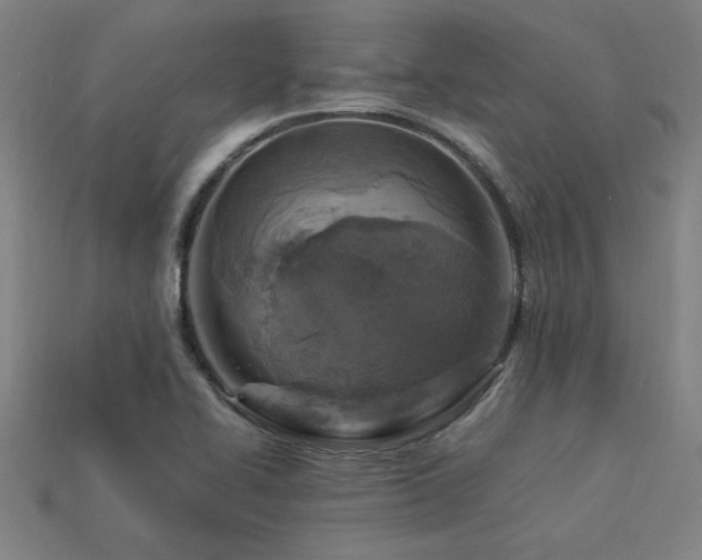X0000113951414200909251329