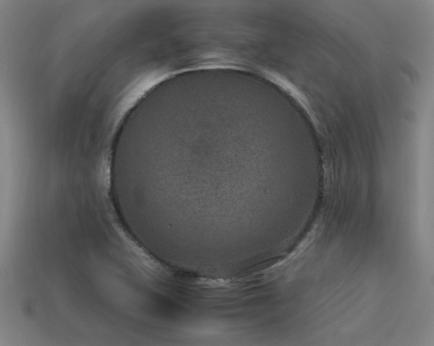 X0000113951415200909251329