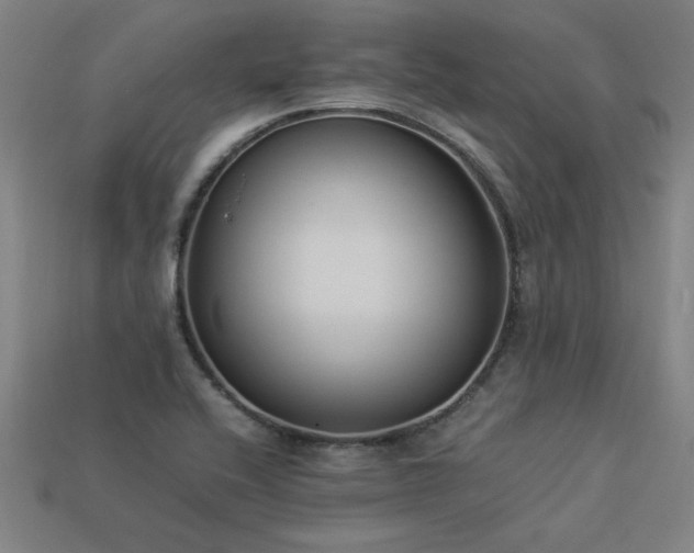 X0000113951416200909251329