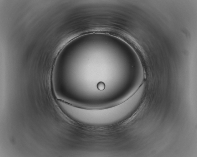 X0000113951417200909251329