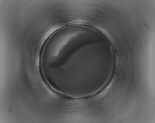 X0000113951418200909251329