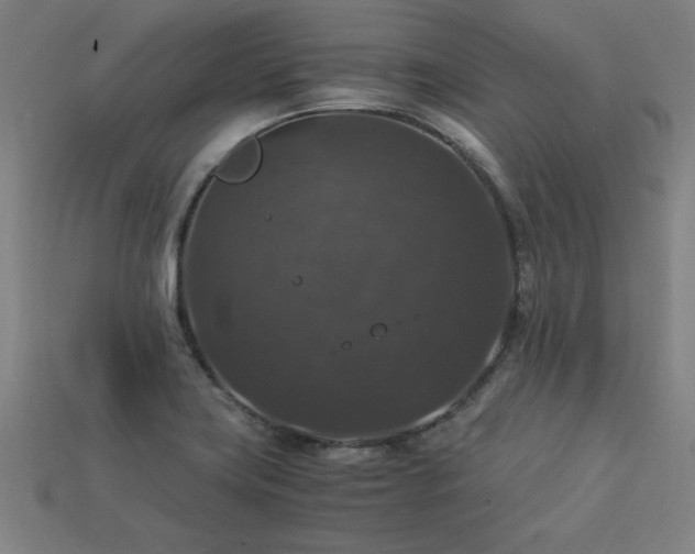 X0000113951419200909251329