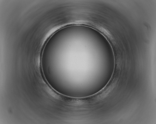 X0000113951420200909251329