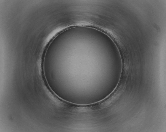 X0000113951422200909251329