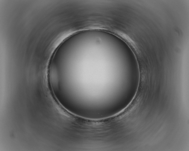 X0000113951423200909251329