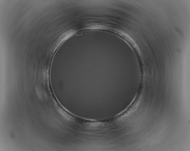 X0000113951425200909251329