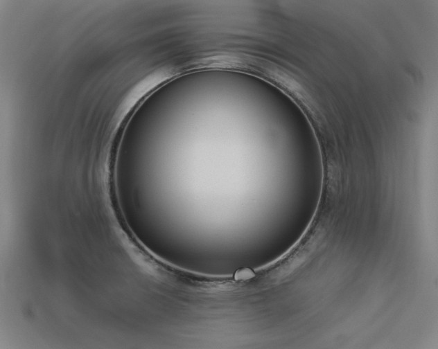 X0000113951426200909251329