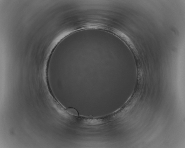 X0000113951427200909251329