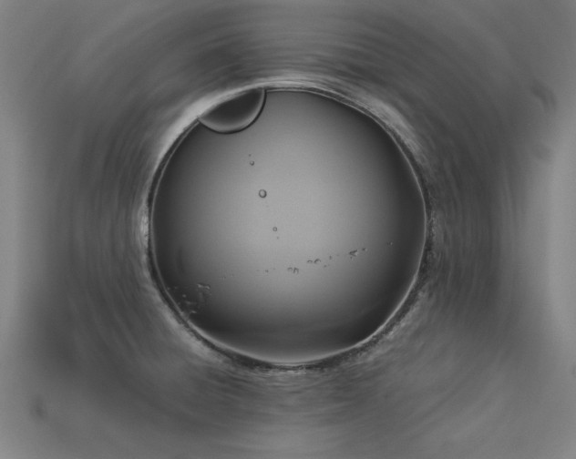 X0000113951428200909251329