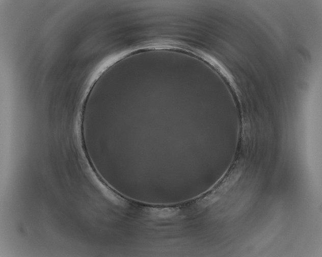 X0000113951429200909251329