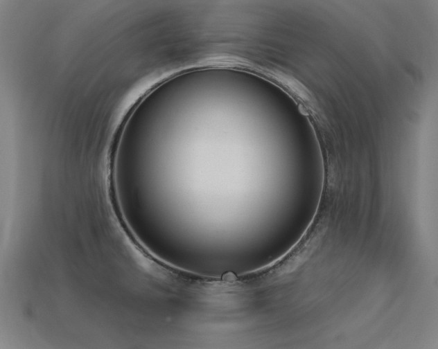 X0000113951430200909251329