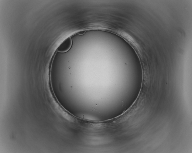 X0000113951431200909251329