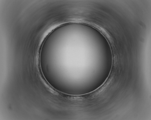 X0000113951432200909251329