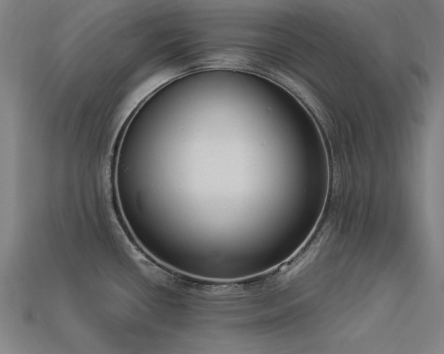 X0000113951434200909251329