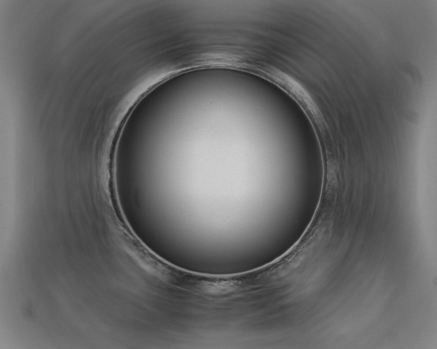 X0000113951435200909251329