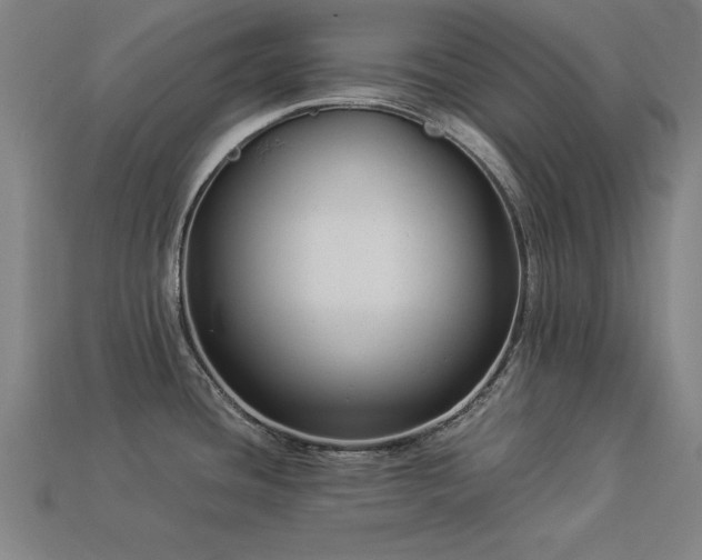 X0000113951436200909251329