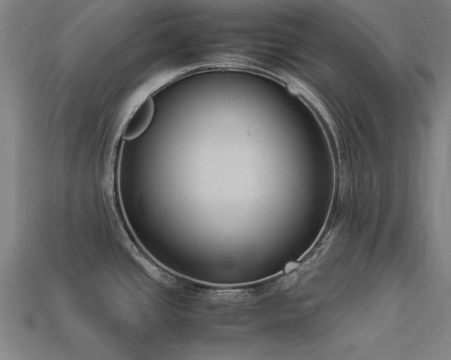 X0000113951437200909251329