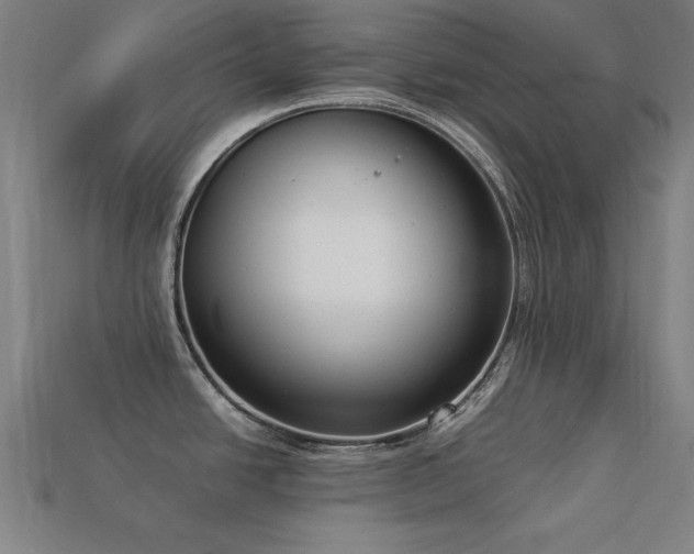 X0000113951438200909251329