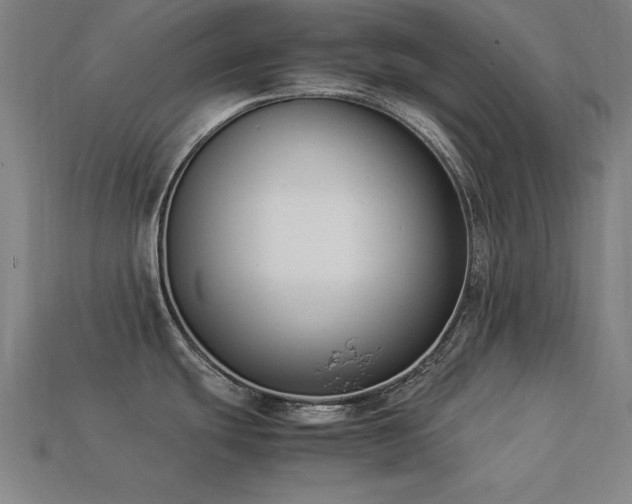 X0000113951439200909251329