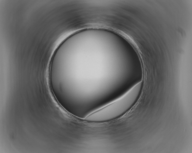 X0000113951440200909251330