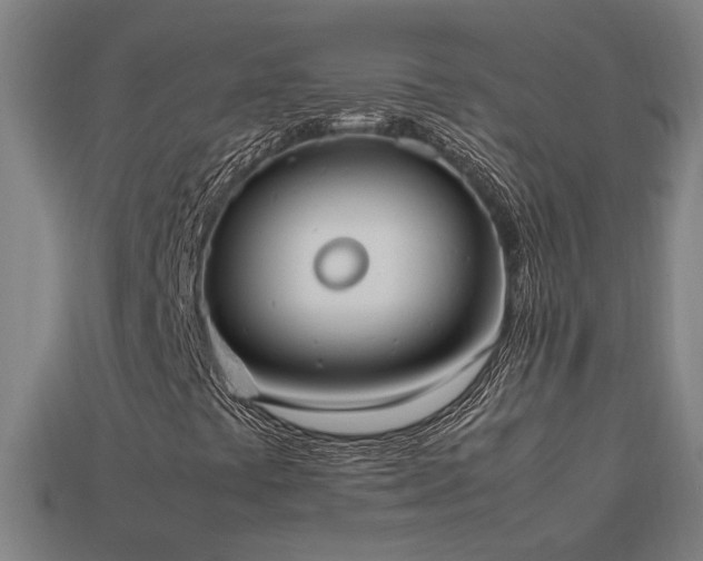 X0000113951441200909251329