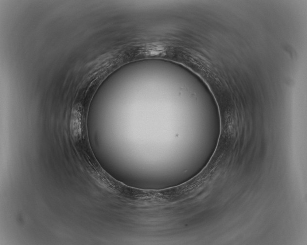 X0000113951442200909251329