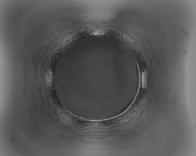 X0000113951443200909251329