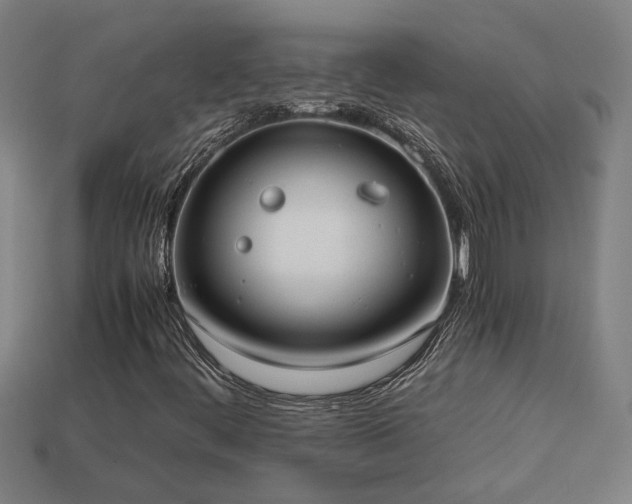 X0000113951444200909251329