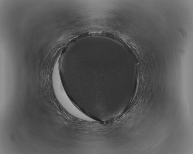 X0000113951445200909251329