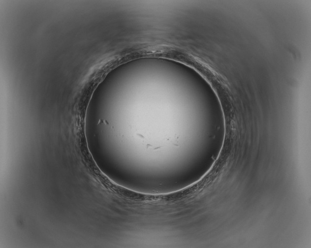 X0000113951447200909251329