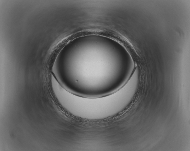 X0000113951448200909251329