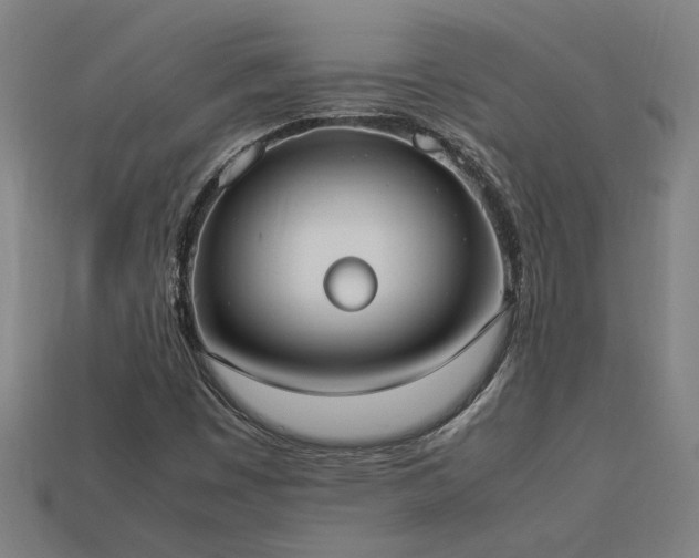 X0000113951449200909251329