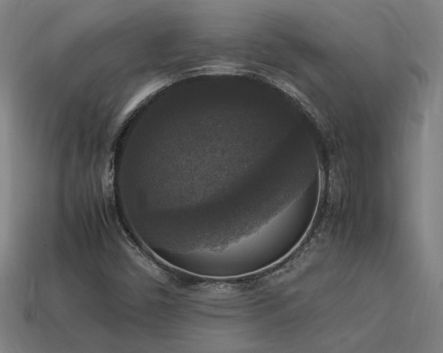 X0000113951450200909251329