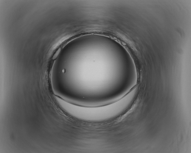 X0000113951453200909251329