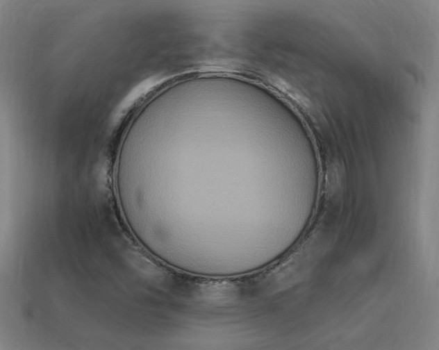 X0000113951454200909251329