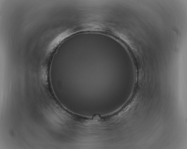 X0000113951455200909251329
