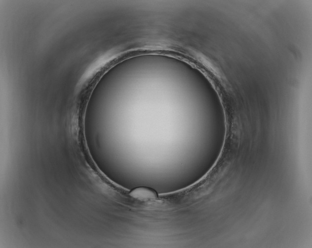 X0000113951456200909251329