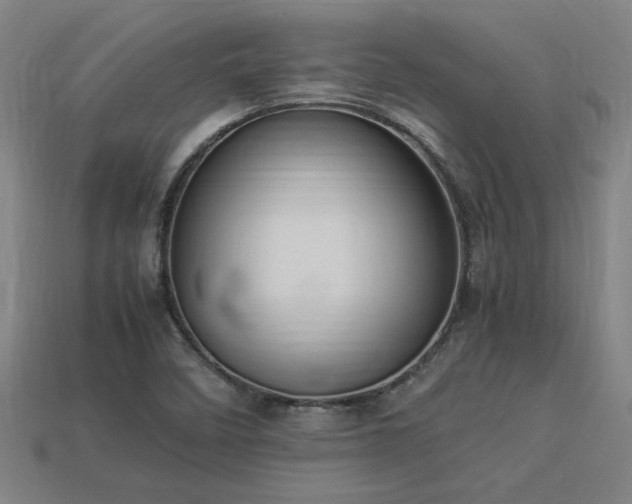X0000113951458200909251329