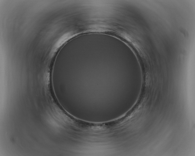 X0000113951459200909251329