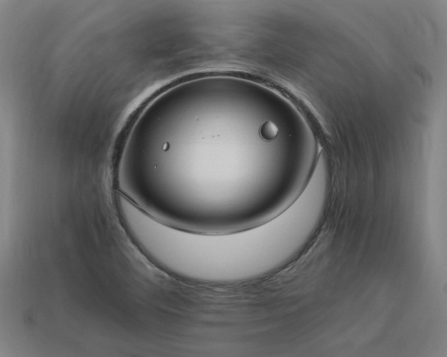X0000113951460200909251329