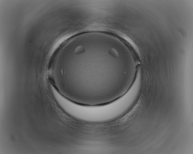 X0000113951461200909251329