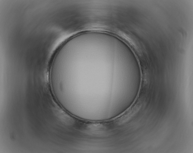 X0000113951462200909251329