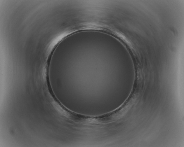 X0000113951463200909251329