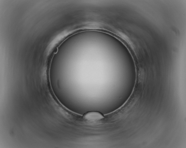 X0000113951464200909251329
