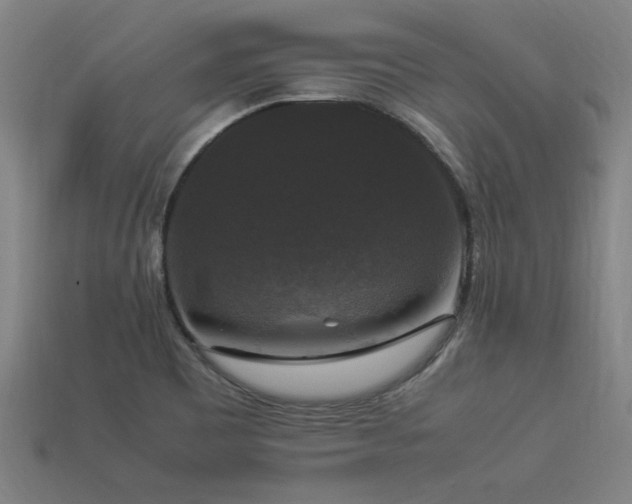 X0000113951465200909251329